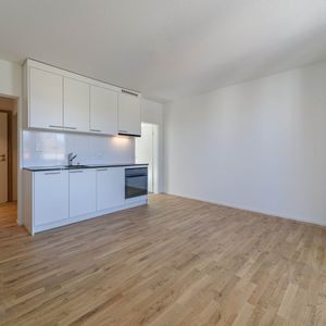 1.5 - Zi. Wohnung an guter Lage - Foto 2