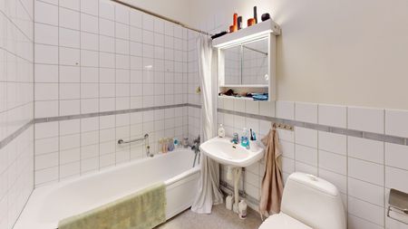 Södergatan, Helsingborg - Photo 4