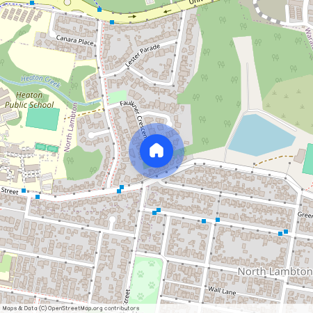 29 Faulkner Circuit, NSW 2299, North Lambton