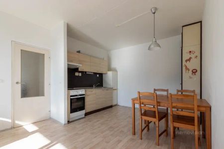 Pronájem, Byty 2+kk, 49 m, ul.Oblá, Brno - Nový Lískovec - Photo 4