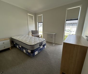 Modern Three Bedroom Two Bathroom - Papamoa Beach - Photo 4