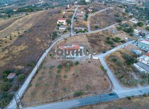 Διαμέρισμα για ενοικίαση - Κερατέα - Φωτογραφία 3