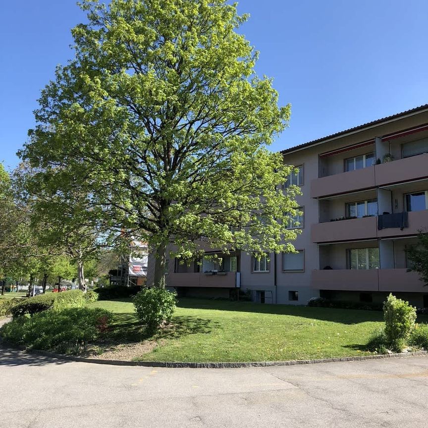 4 Zimmer, 76 m², EG - Foto 1