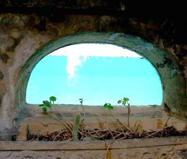 61 Darling Street, South Yarra, VIC 3141 - Photo 3