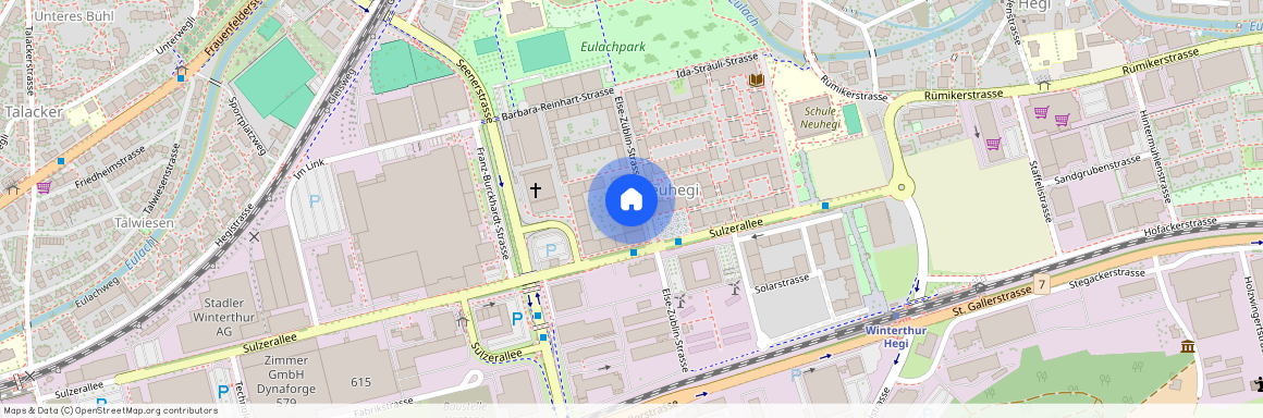 Else - Züblin - str. 75, 8404, Winterthur