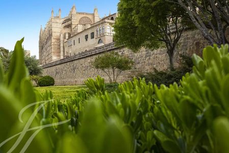 Palma de Mallorca, Balearic Islands 07001 - Photo 2