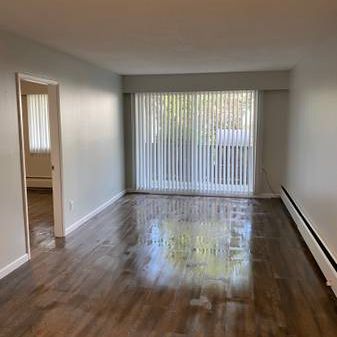 1 Br APARTMENT - GREAT CENTRAL LOCATION - Photo 1