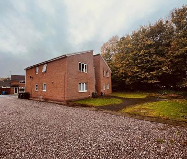 Studio to rent - Photo 6