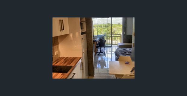 Renovated studio with views over lake and Bond Uni. sound proofed unit - Photo 1