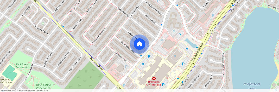 48 Coachwhip Road, Brampton