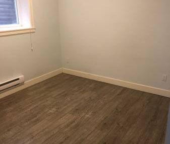 2 Bedroom basement suite— available now! - Photo 3