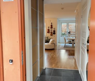 Carmencitas Gata, Göteborg - Photo 4