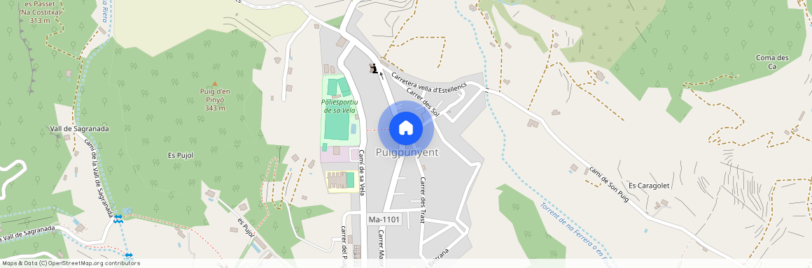 Puigpunyent, Balearic Islands 07194