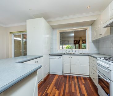 Character Plus - Photo 4