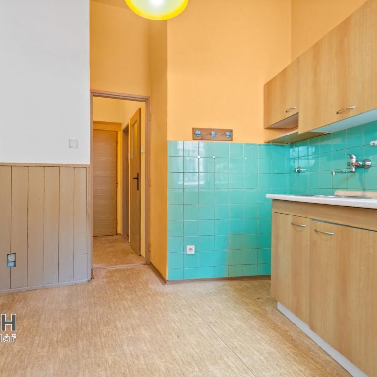 Pronájem bytu 1+1 40 m2 - Fotografie 1