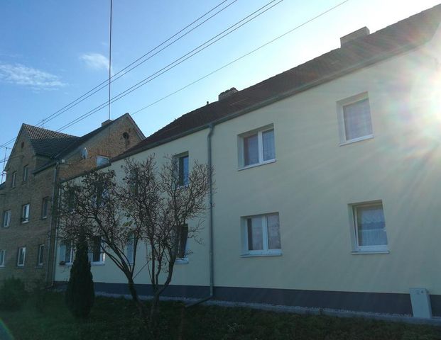 3-Zimmer Wohnung in Sallgast ab 01.11.2025 frei - Photo 1