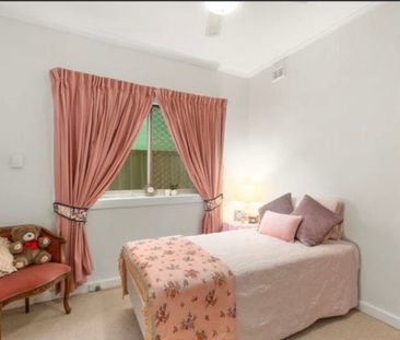 South Plympton - Photo 2