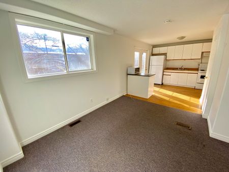 For Lease - 43 Walter Avenue Unit# lower back unit, Newmarket, Ontario - Photo 5