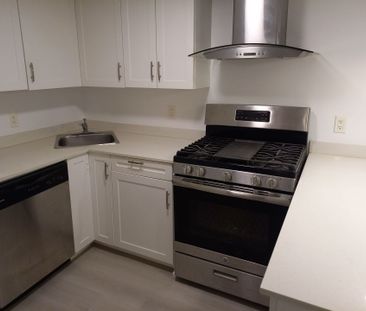 For Lease - 129 Walmer Road Unit# Lower, Toronto, Ontario - Photo 3