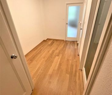 Malagnou - Champel - Foto 4