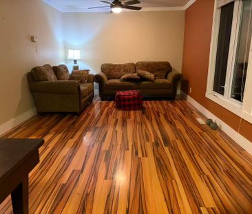 For Lease - 57 Howard Road, Newmarket, Ontario - Photo 4