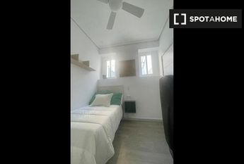 cadiz, Andalusia 11002