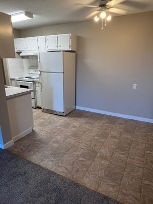 Spacious 2 Bedroom Cat Friendly Suite in Clearview! - Photo 1