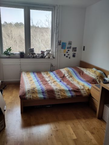 Rubingatan, Västra Frölunda - Photo 3