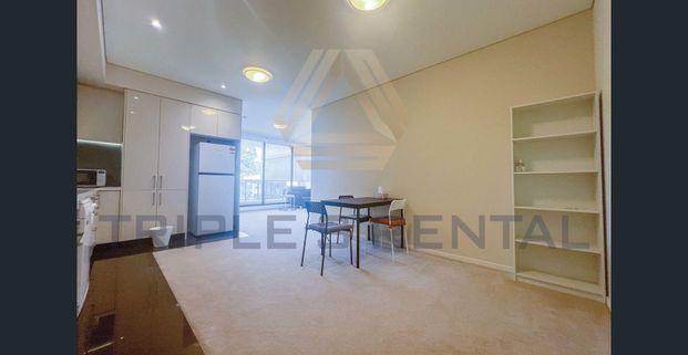 Funirhsed 1 Bed 1 Baths Apartment for lease! Enquire NOW! - Photo 1
