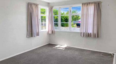 TE AWAMUTU 3 BEDROOMS - Photo 2