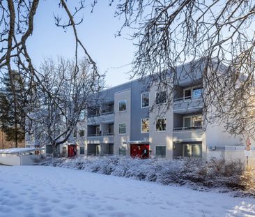 Dirigentvägen, Skellefteå - Foto 5