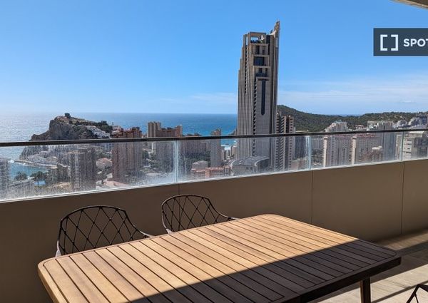alicante, Valencian Community 03502