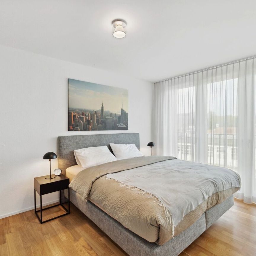 Bâle-Münchenstein - à 7 min. de la gare CFF de Bâle - Photo 1