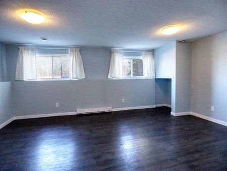 Gorgeous Basement Suite in Normandeau! - Photo 3