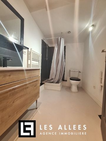 APPARTEMENT T1 BIS - Photo 4
