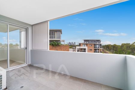 4.13/20 Dressler Court Merrylands - Photo 3