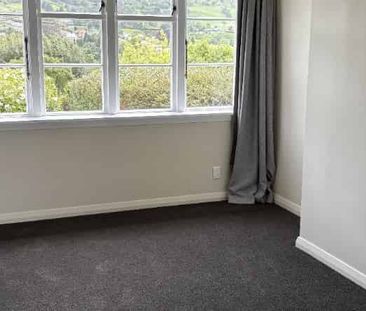 Wee Unit in Wakari - Photo 2