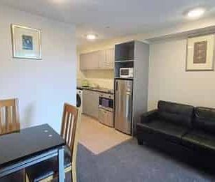 Central Auckland 1BR fully furnished - Photo 3