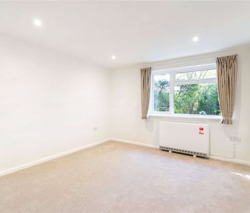 A newly renovated one bedroom apartment - Photo 1