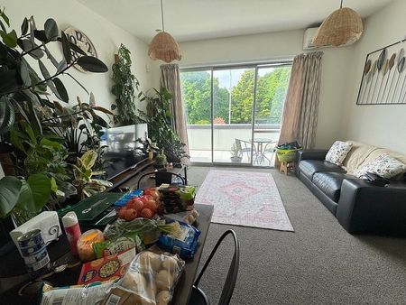 Post quake built apartment with double glazing. - Photo 3