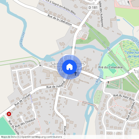 Ste gemmes d andigne (49500)