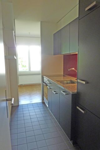 Helle Singlewohnung im Grünen in Altstetten - Foto 2