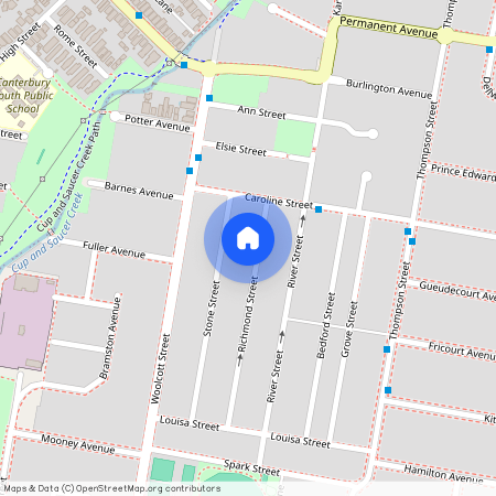 17 Richmond St, NSW 2206, Earlwood