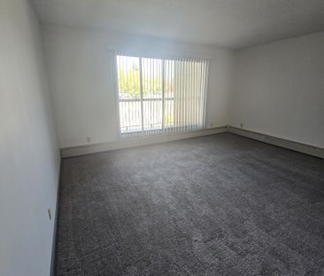 Spacious Two Bedroom unit on South Hill - Photo 4