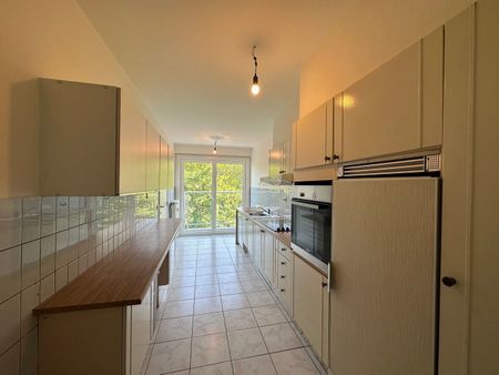 RESIDENTIE OSTEND PARK - Photo 5