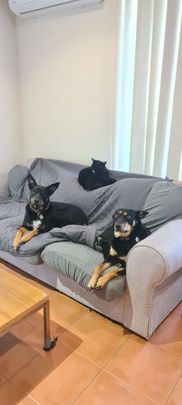 Altona Meadows - Photo 1