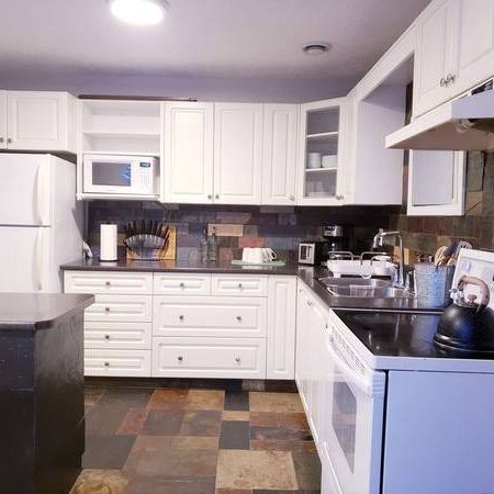 2 Bed 1 Bath Lower Suite in North Nanaimo (Fully Furnished) - Photo 4