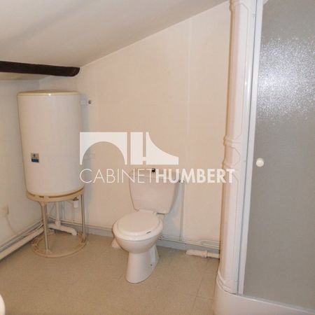 Location Appartement 1 pièce 18m² ST ETIENNE 42000 - Photo 3