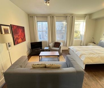 Logement lumineux et tranquille à louer – Vieux-Rosemont / Promenad... - Photo 2