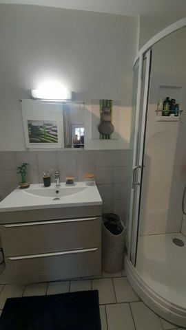 Location maison 2 pièces, 30.53m², La Ferté-Saint-Aubin - Photo 4